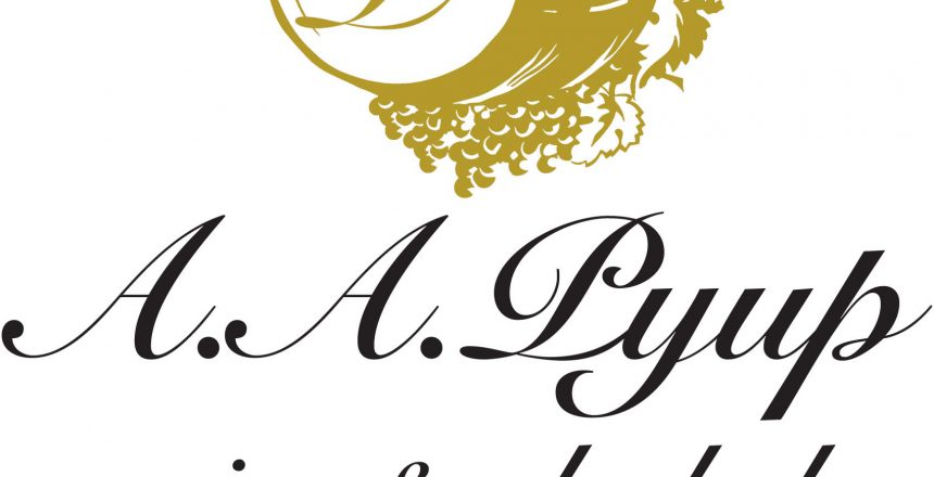 pyup logo
